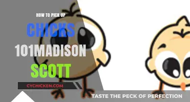 Mastering Chick Magnetism: Madison Scott's Guide to Attraction