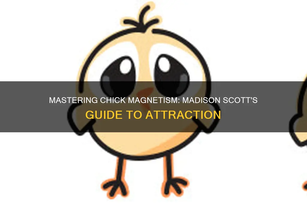 how to pick up chicks 101madison scott