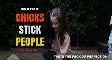Mastering the Art of Picking Up Chicks Stick People: Tips and Tricks