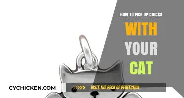 Purr-fect Charm: Using Your Cat to Attract Women Effortlessly