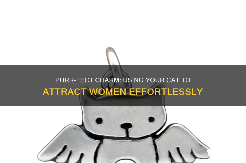 how to pick up chicks with your cat