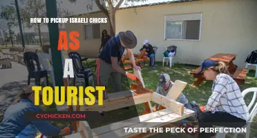 Mastering the Art of Meeting Israeli Women as a Tourist