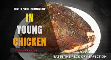 Proper Thermometer Placement for Young Chickens: A Step-by-Step Guide