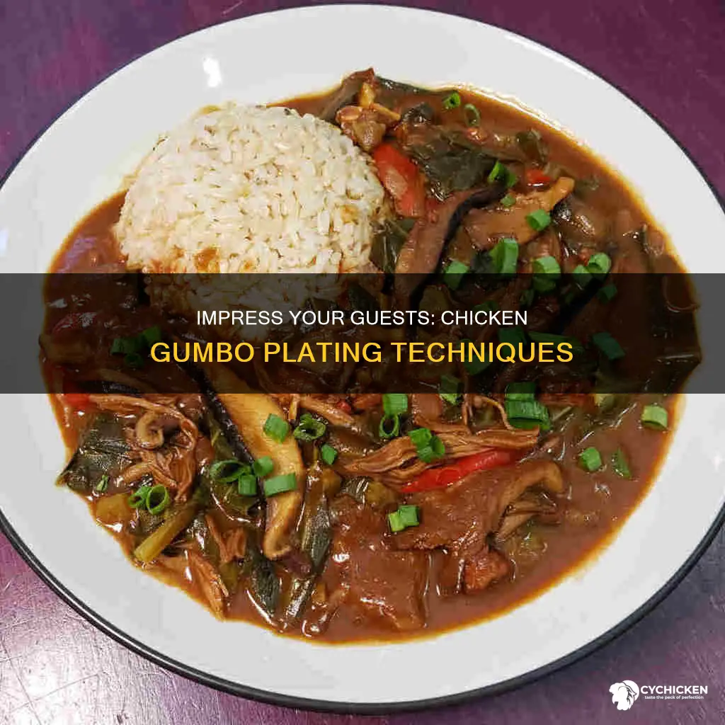 how to plate chicken gumbo at my dinner party