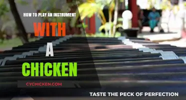 Mastering Music: Playing an Instrument with a Chicken as Your Co-Star