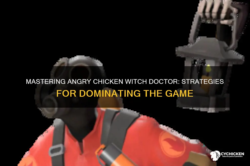 how to play angry chicken witch doctor