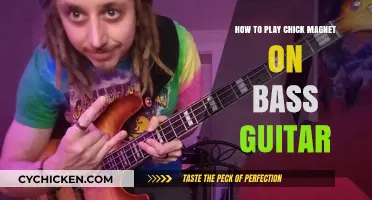 Mastering Chick Magnet: Bass Guitar Techniques and Tips for Beginners