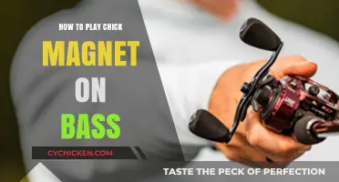 Mastering Chick Magnet: Bass Techniques and Tips for Smooth Grooves
