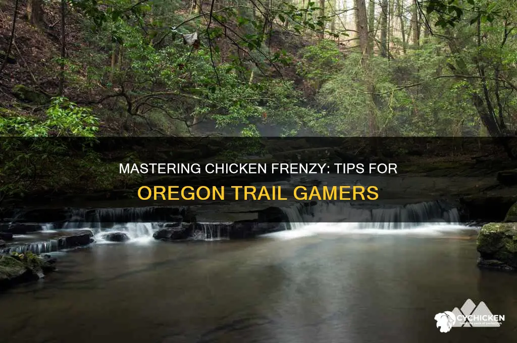 how to play chicken frenzy on oregon trail