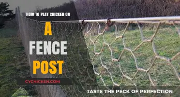 Mastering the Art of Playing Chicken on a Fence Post
