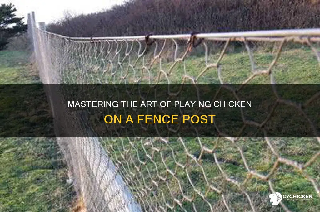how to play chicken on a fence post