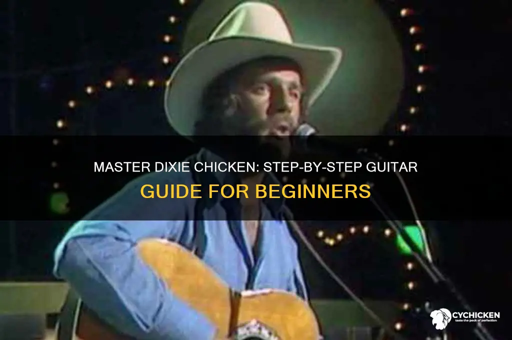 how to play dixie chicken on guitar