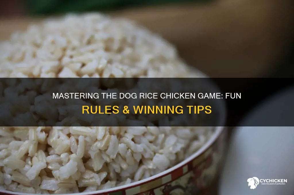 how to play dog rice chicken game