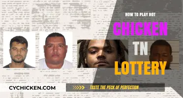 Mastering Hot Chicken TN Lottery: Tips for Winning Big in Tennessee
