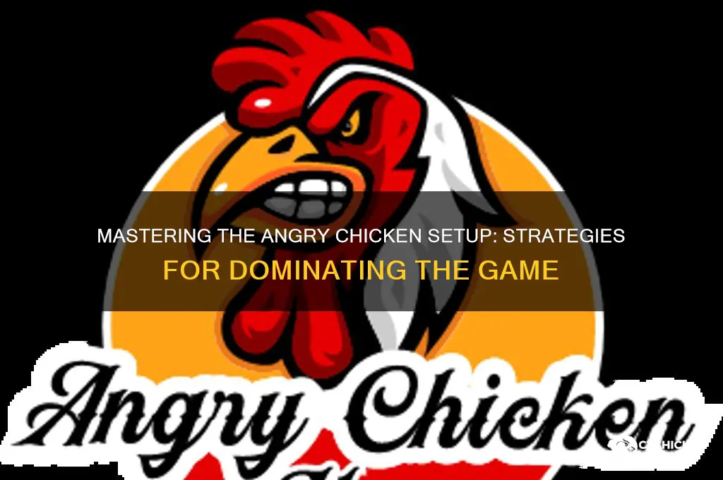 how to play the angry chicken setup