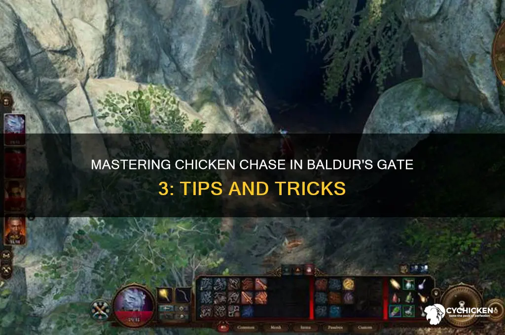 how to play the chicken chase game bg3