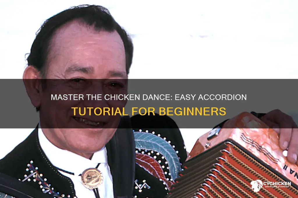 how to play the chicken dance on accordion