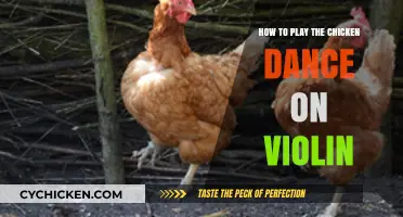 Master the Chicken Dance on Violin: Fun, Easy Steps Guide