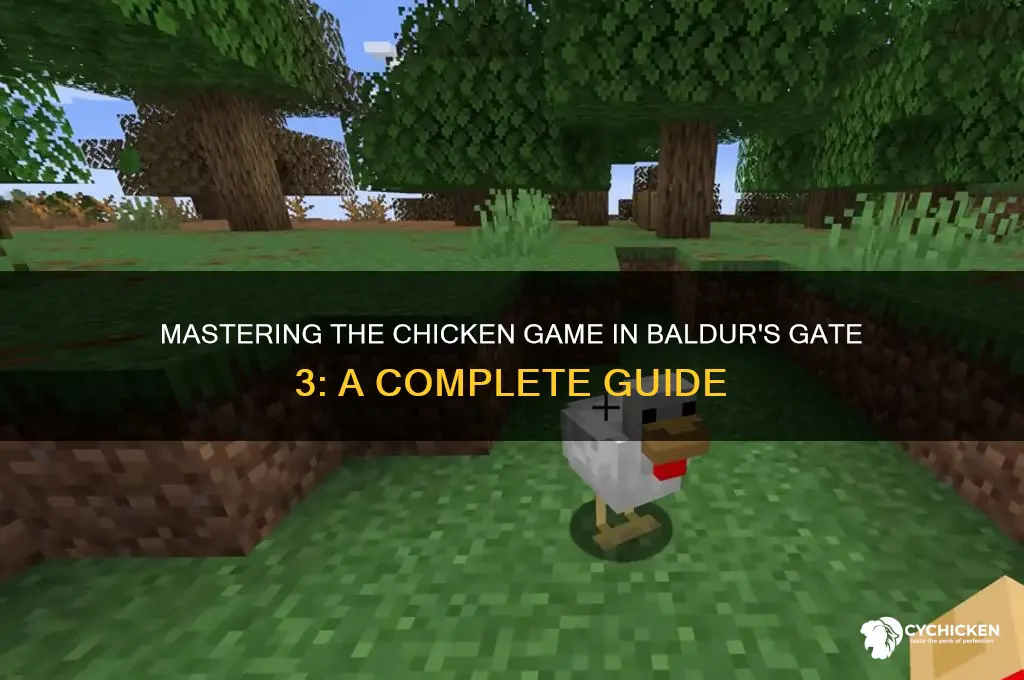 how to play the chicken game bg3