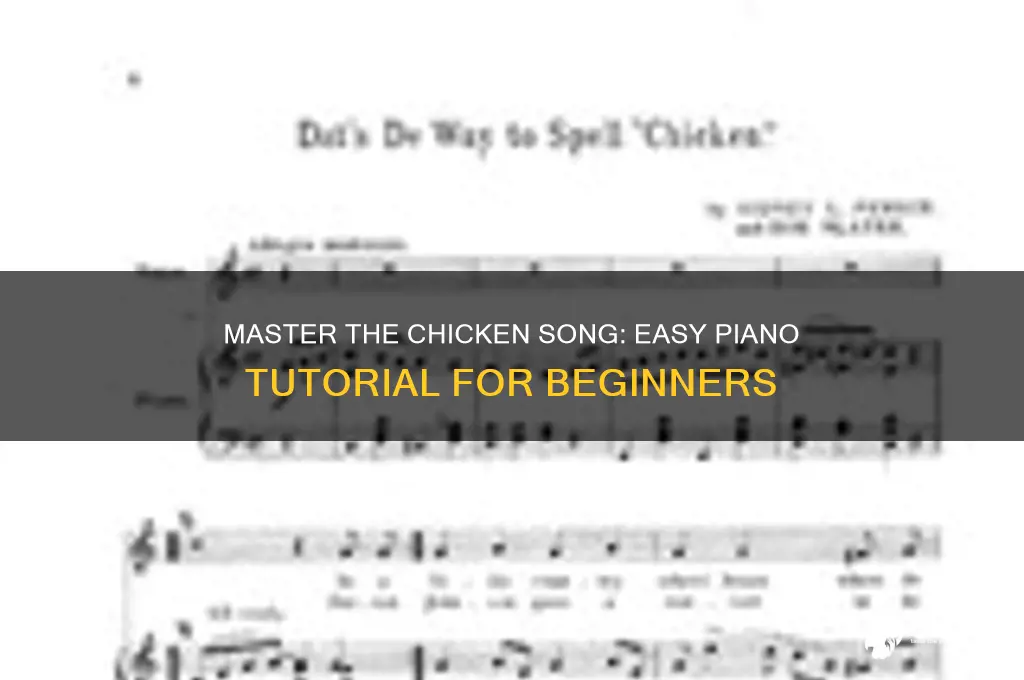 how to play the chicken song on piano