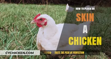 Mastering the Art of Plucking and Skinning a Chicken: A Step-by-Step Guide