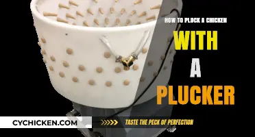 Efficient Chicken Plucking: Mastering the Art with a Plucker Machine