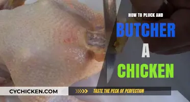 Mastering the Art of Plucking and Butchering Chickens at Home