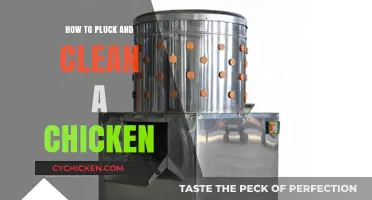 Mastering Chicken Butchery: Plucking and Cleaning Techniques for Home Cooks