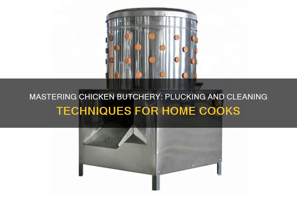 how to pluck and clean a chicken