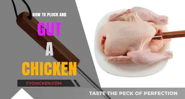 Mastering Chicken Butchery: Step-by-Step Guide to Plucking and Gutting