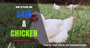 Mastering the Art: Plucking and Skinning a Chicken Step-by-Step
