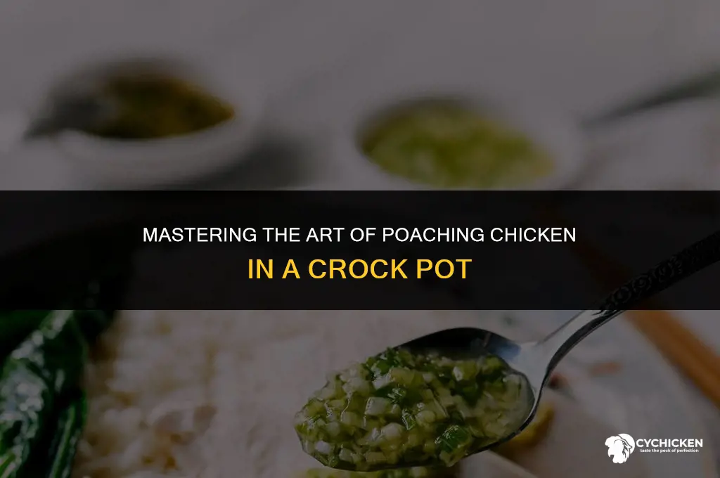 how to poach a whole chicken in a crock pot