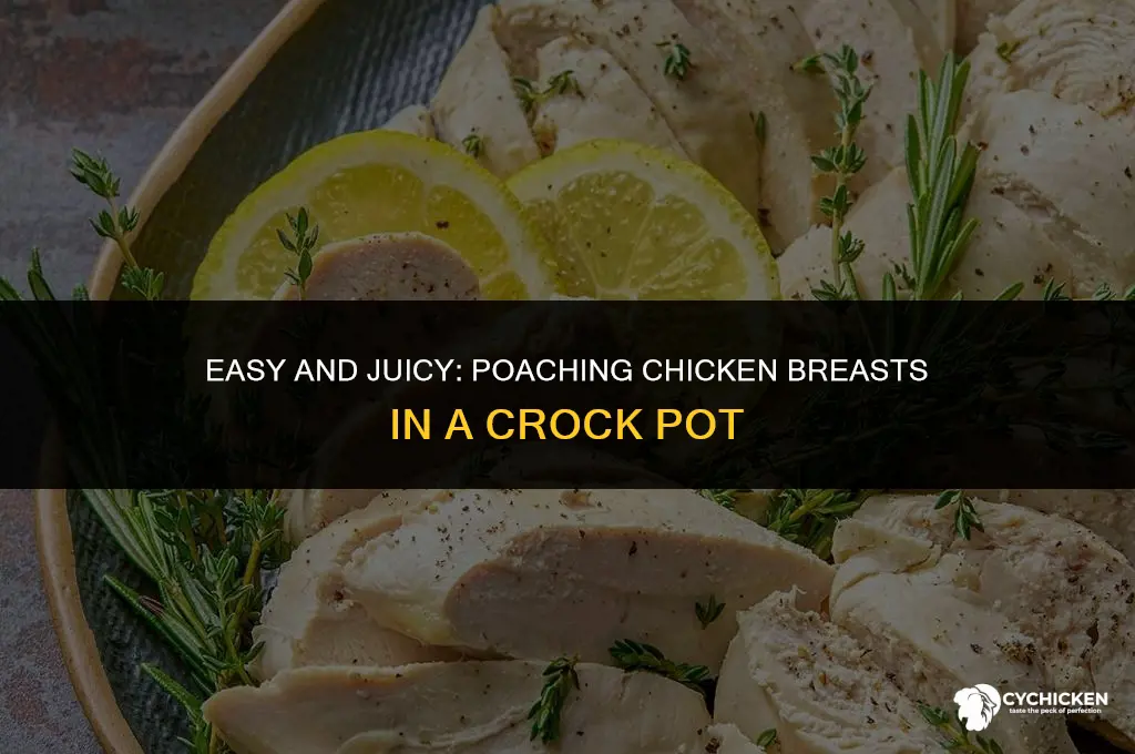 how to poach chicken breasts in crock pot