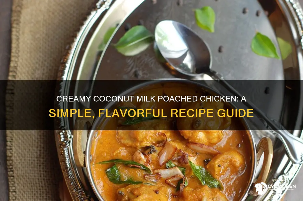 how to poach chicken in coconut milk