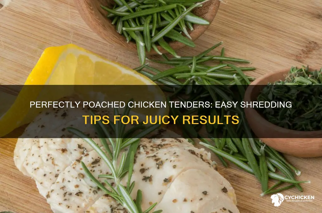 how to poach chicken tenders for shredding