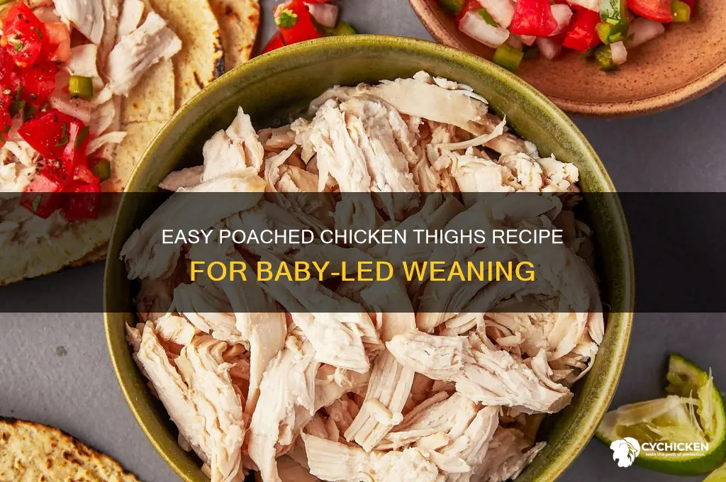 how to poach chicken thighs for baby