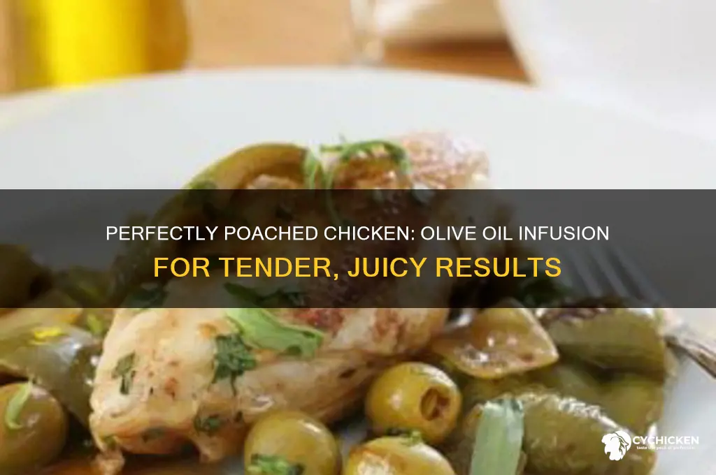 how to poach chicken with olive oil