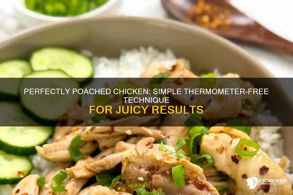 how to poach chicken without a thermometer