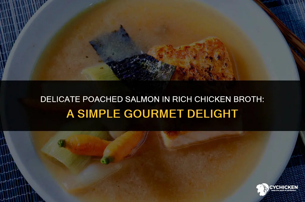 how to poach salmon in chicken broth