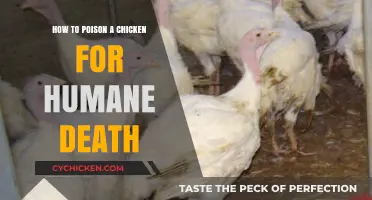 Compassionate Chicken Euthanasia: Safe and Humane Methods for a Peaceful Passing