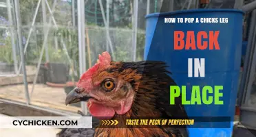 Quickly Popping a Chick's Leg Back: A Guide