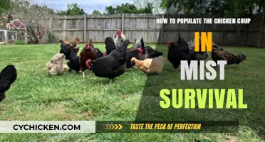 Strategies for Chicken Coup Population in Mist Survival