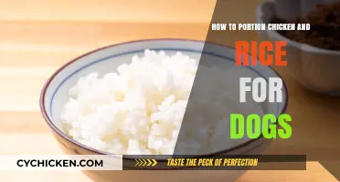 Perfect Chicken and Rice Portions for Your Dog's Health