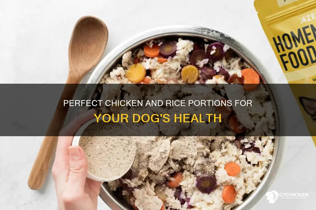 how to portion chicken and rice for dogs