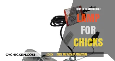 Optimal Heat Lamp Placement for Healthy and Happy Chicks