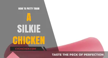 Potty Training Silkies: A Step-by-Step Guide for Clean Coops