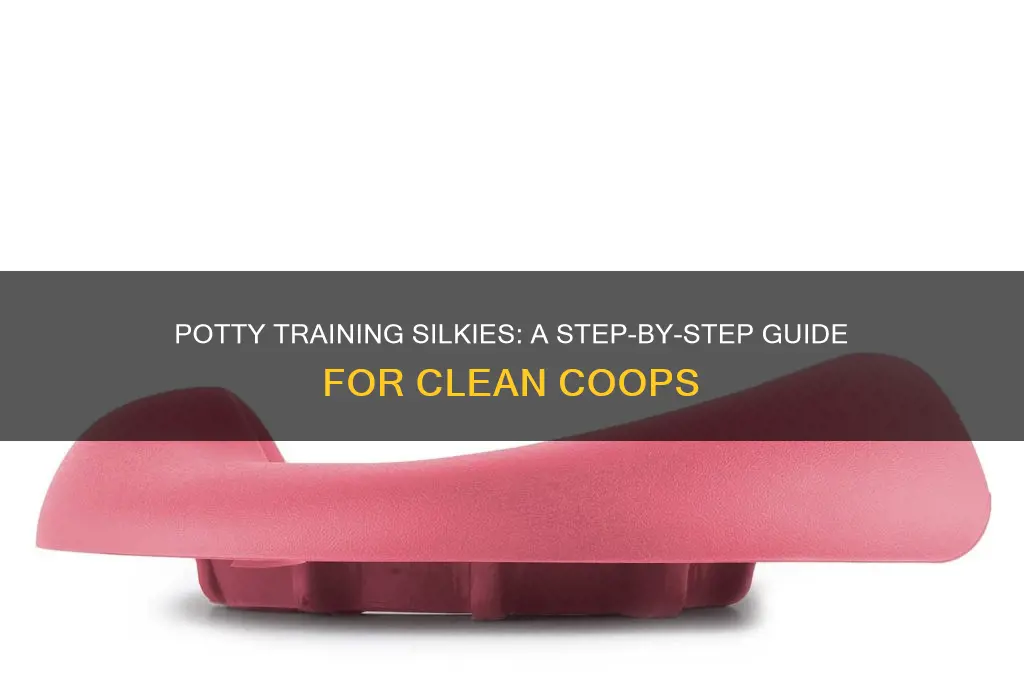 how to potty train a silkie chicken