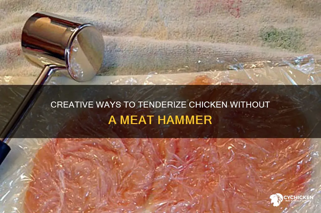 how to pound chicken without a hammer