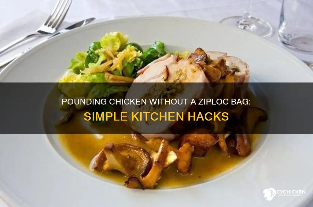 how to pound chicken without ziploc bag