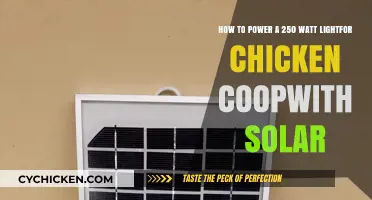Solar-Powered Chicken Coop Lighting: 250 Watts, Easy Setup